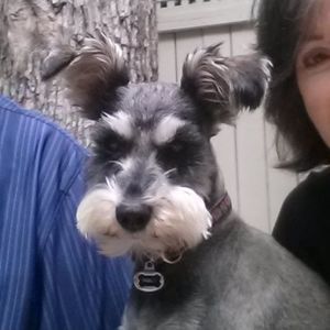 Meet your Posher, Molly